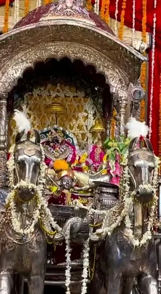 Video by Shri Radharaman | Daily Darshan