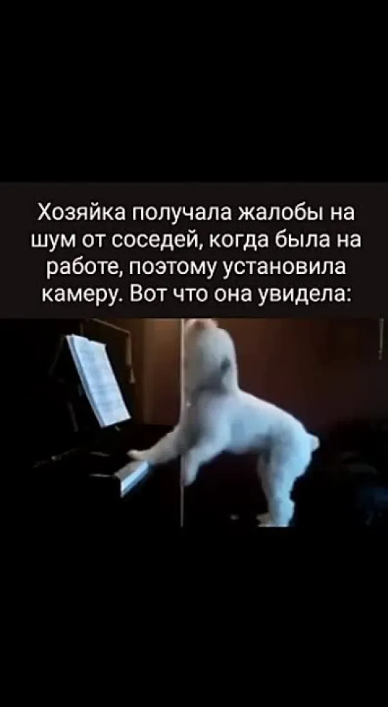 Video by ВСЕЛЕННАЯ ОТКРЫТИЙ