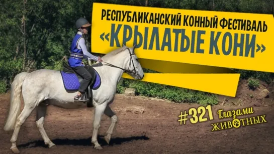 Глазами животных #321. Республиканский конный фестиваль «Крылатые кони»