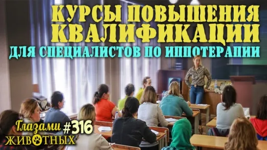 Глазами животных #316. Курсы повышения квалификации для специалистов по иппотерапии