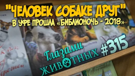 Глазами животных #315. "Человек собаке друг". В Уфе прошла «Библионочь - 2018»