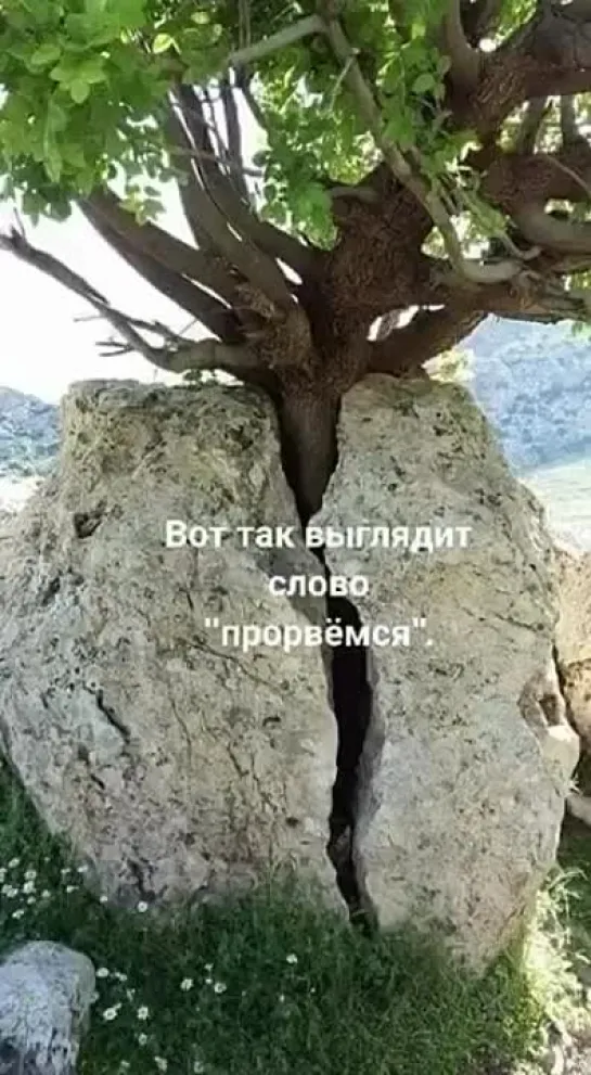 Video by Tatyana Mukovozchik