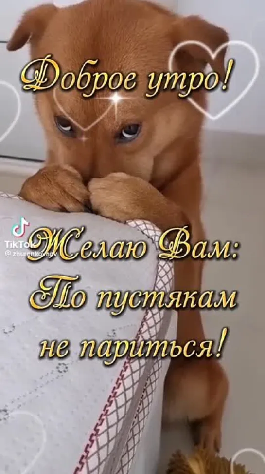 Video by Tatyana Mukovozchik