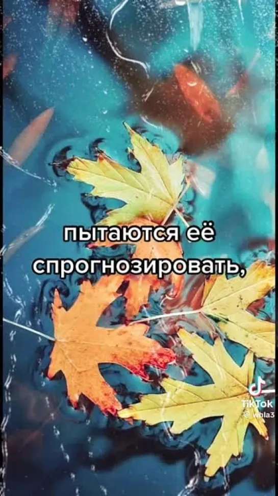 Video by Tatyana Mukovozchik