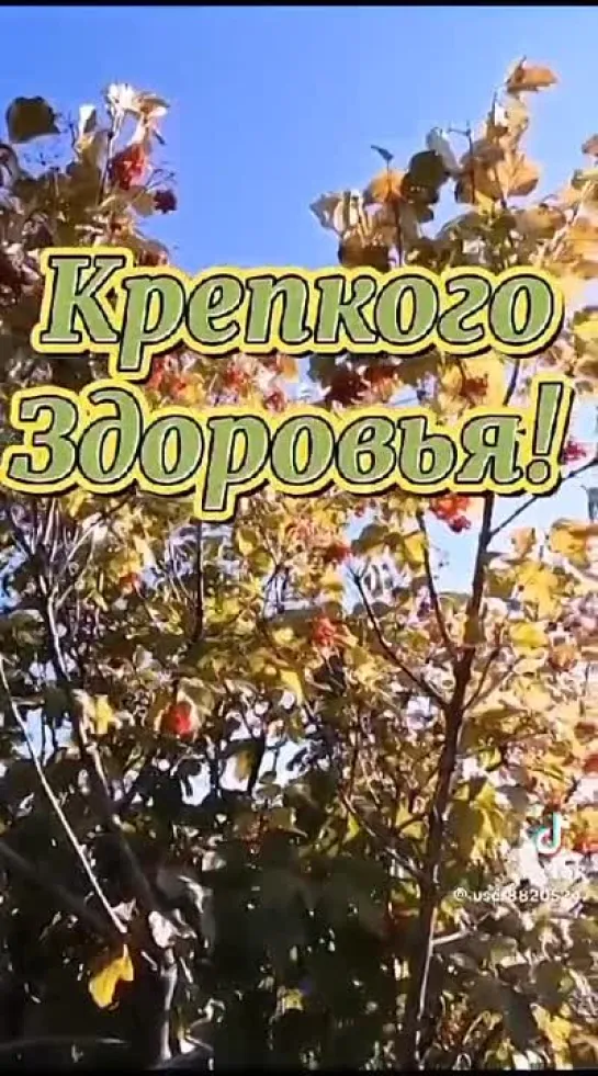 Video by Tatyana Mukovozchik