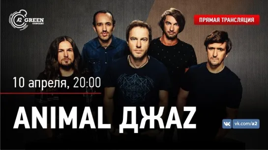 Animal Джаz | VK LIVE