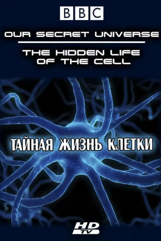 BBC Внутренняя Вселенная Тайная жизнь клетки  Universe The Hidden Life of the Cell