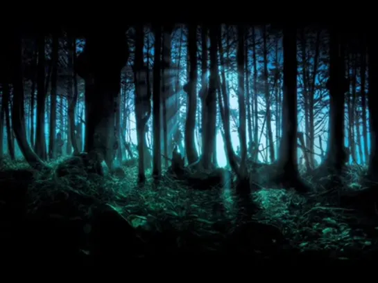 Frederic Chopin - Mysterious Forest