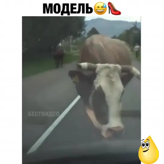 Встреча так встреча