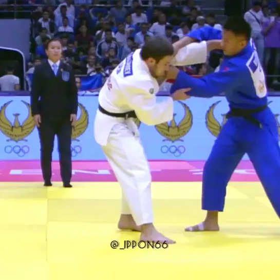 Judo Vine