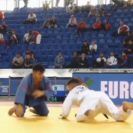 Judo Vine