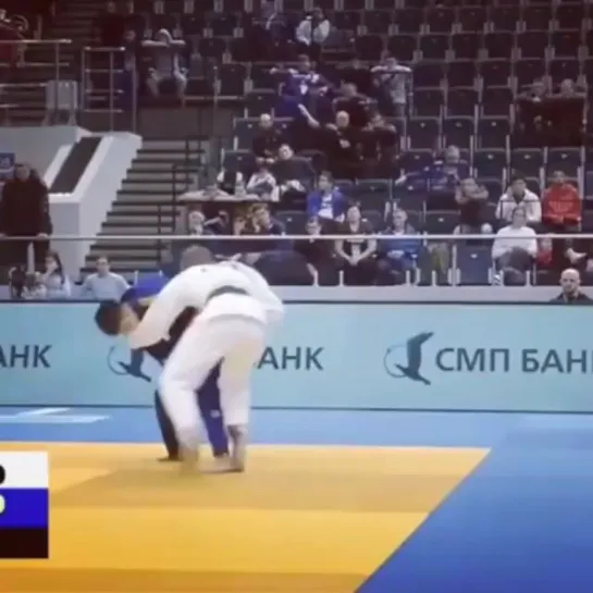 Judo Vine