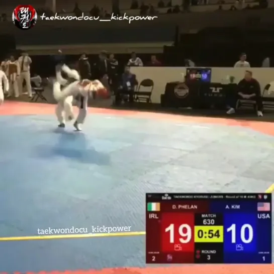 Taekwondo Vine