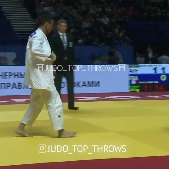 Judo Vine