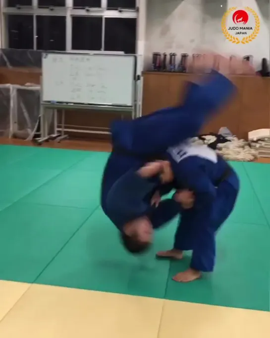 Judo Vine