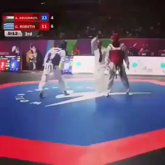 Taekwondo Vine