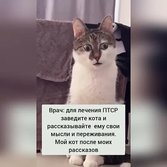 Теперь коту нужен врач