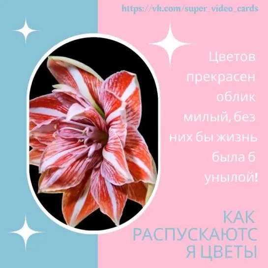 Video by ОТКРЫТКИ ПОЗДРАВЛЕНИЯ С ДНЕМ РОЖДЕНИЯ