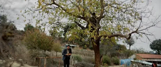 Nuri Bilge Ceylan - El peral salvaje (2018)