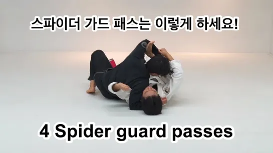 Hyunsung Kim - 4 spider guard passes