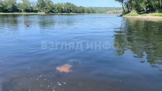 Video by "Жесть Красноярска" Криминал • ЧП • Новости •