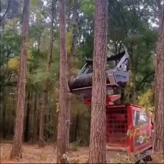 Не показывайте это видео коммунальным службам