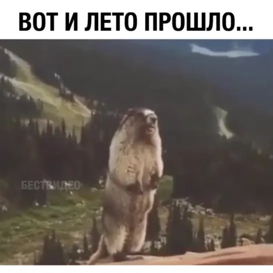 Вот и лето прошло