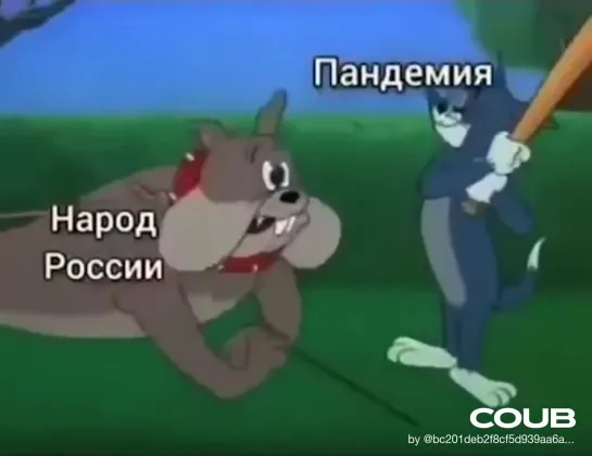 Реальность