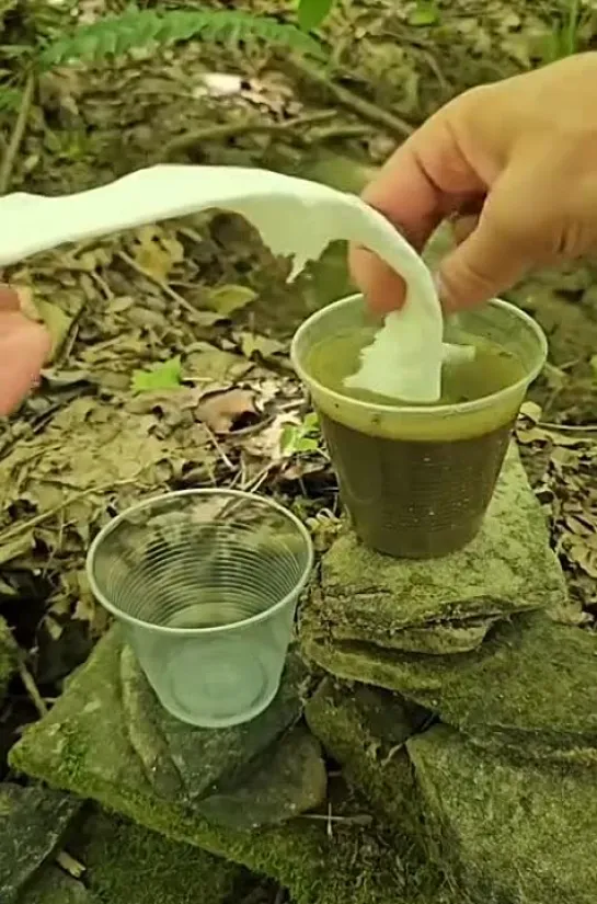 Filtering water using gravity and a paper towel