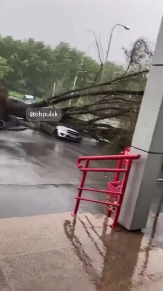 Дерево упало на Ладу в Новом городе