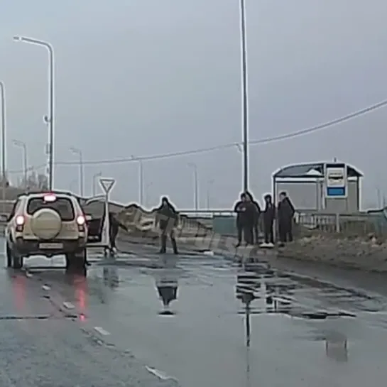 Спасение сбежавшей собаки в Ульяновске