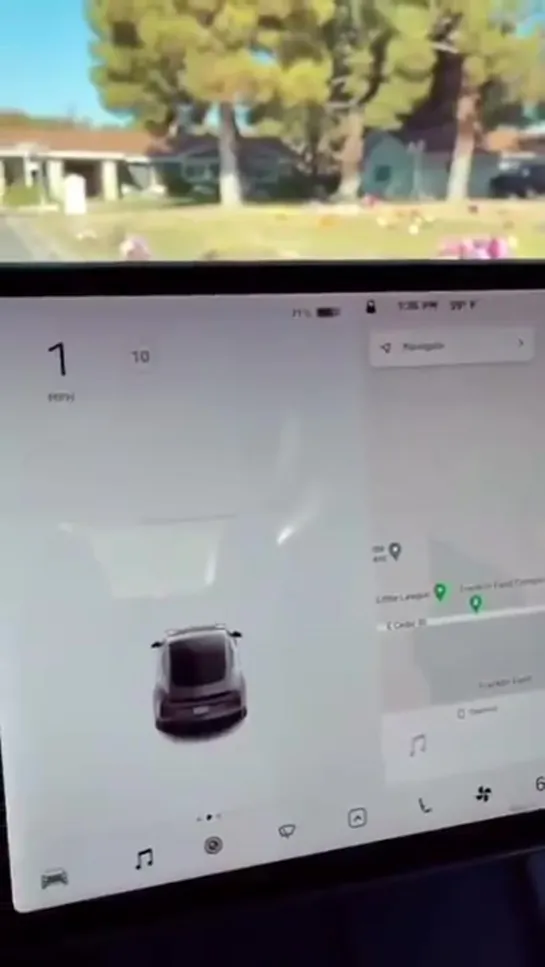 Tesla распознала на кладбище живого человека