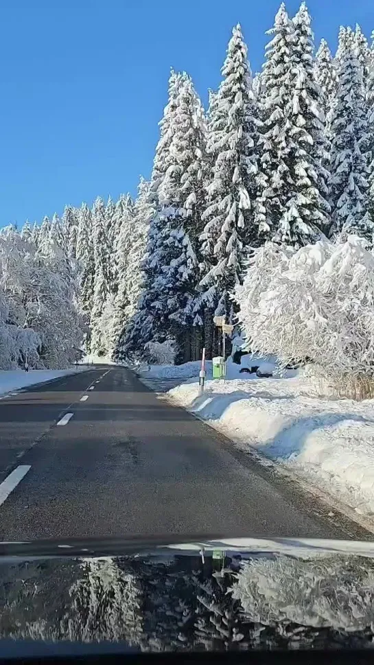 По дороге к празднику)