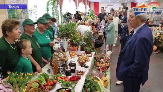 Панорама Ленинградской области. Выпуск от 14.09.2024 (Тосно).