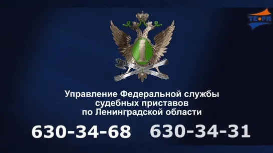 Служба судебных приставов по Ленинградской области