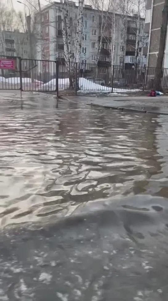 Кругом вода: из-за гигантских луж невозможно подойти к казанской гимназии