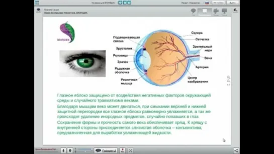 Как Улучшить зрение Как восстановить зрение Как сохранить зрение