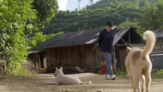 Sue Perkins Lost in Thailand S01E01