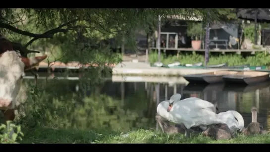 Great British Cities with Susan Calman S01E03 - Cambridge