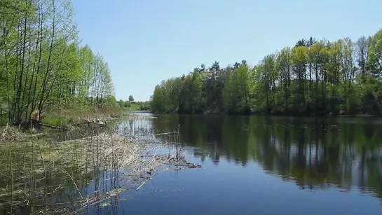 Село Преображеновка - жемчужина земли Липецкой