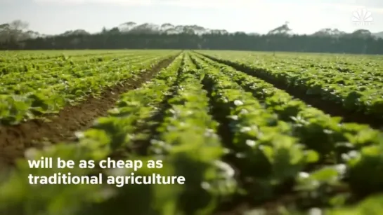 Watch Robots Grow Food Without Farmers