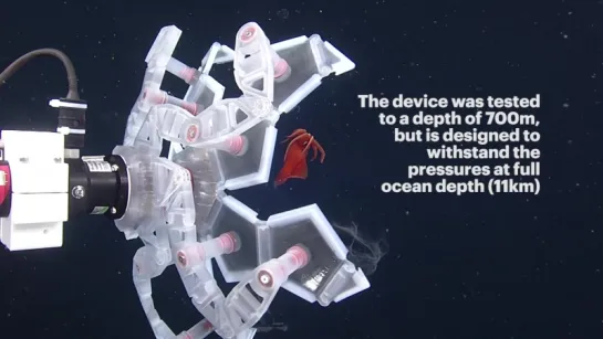 RAD Sampler Rotary-actuated device for investigating delicate marine organisms