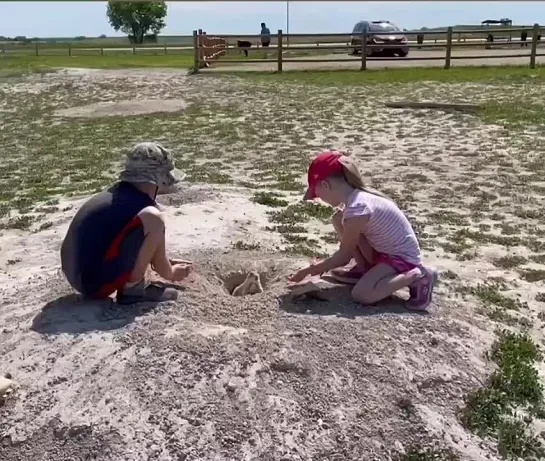 Video by Верхнеднепровский Родина Слонов