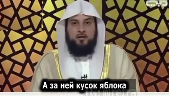 Video by Верхнеднепровский Родина Слонов