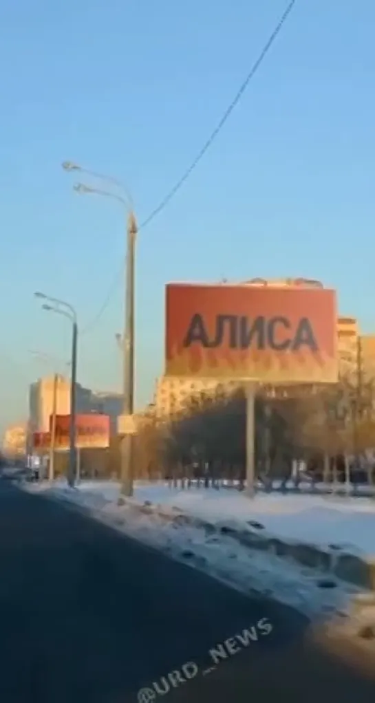 Все Алисы напряглись