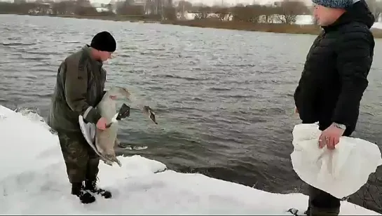 Video by Верхнеднепровский Родина Слонов