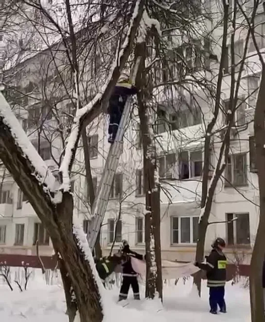 Video by Верхнеднепровский Родина Слонов