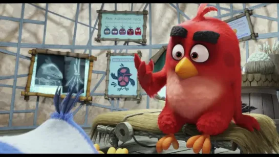 Angry Birds в кино (2016) Трейлер