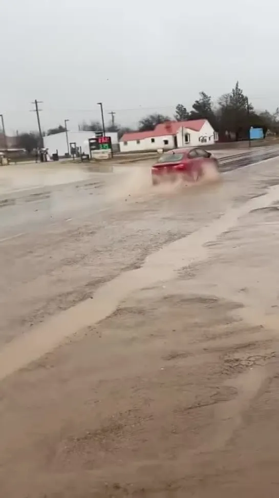 Active police chase gets wild #automobile #car #fun #performance #racing #fail #police #cops #chase