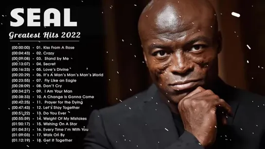 Best Songs Of Seal